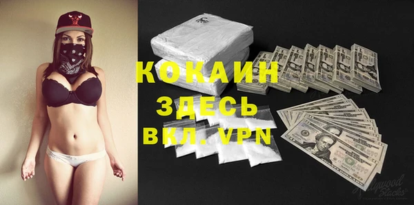стаф Абаза