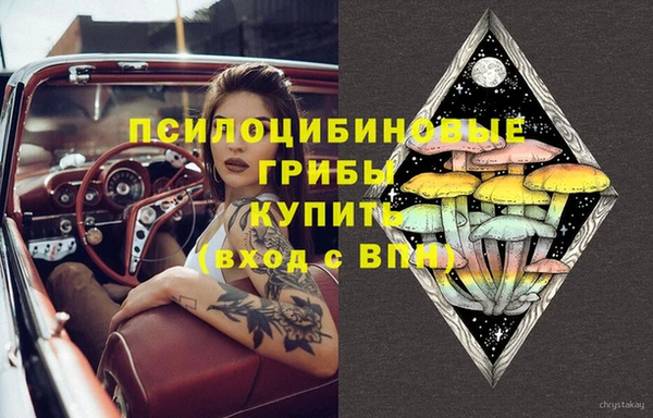 стаф Абаза